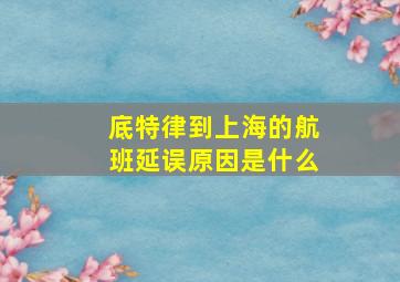 底特律到上海的航班延误原因是什么