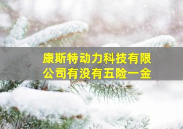 康斯特动力科技有限公司有没有五险一金