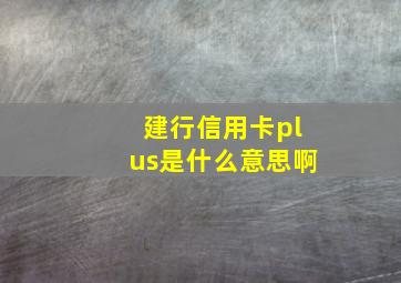 建行信用卡plus是什么意思啊