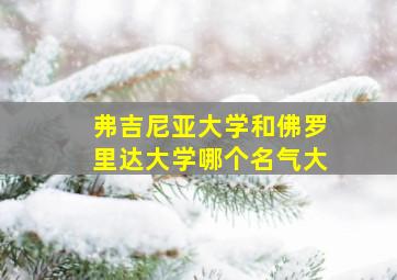 弗吉尼亚大学和佛罗里达大学哪个名气大