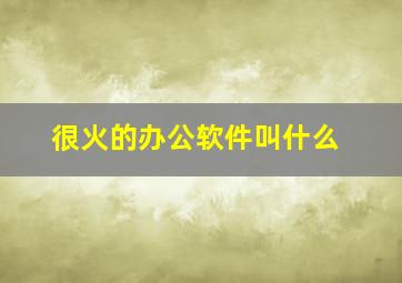 很火的办公软件叫什么