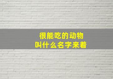 很能吃的动物叫什么名字来着