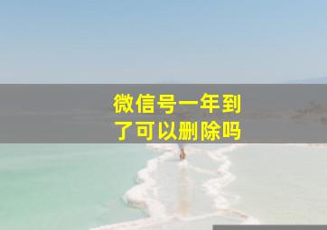 微信号一年到了可以删除吗