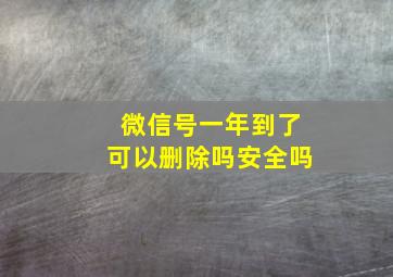 微信号一年到了可以删除吗安全吗