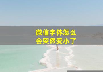 微信字体怎么会突然变小了