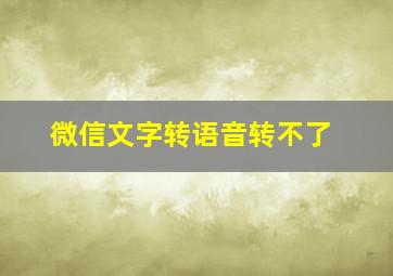 微信文字转语音转不了