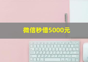 微信秒借5000元