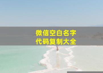 微信空白名字代码复制大全