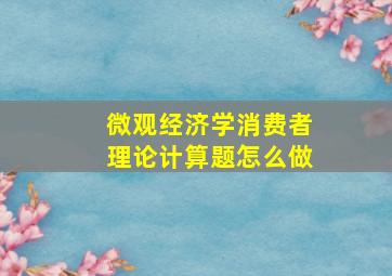 微观经济学消费者理论计算题怎么做