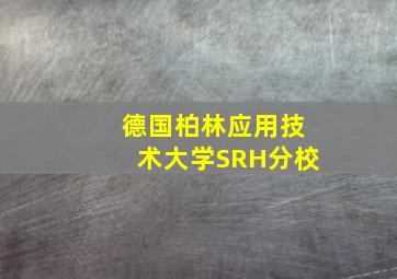 德国柏林应用技术大学SRH分校