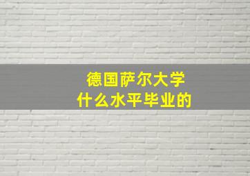 德国萨尔大学什么水平毕业的