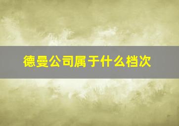 德曼公司属于什么档次