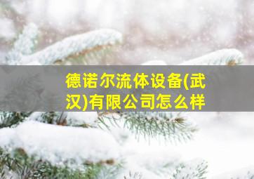 德诺尔流体设备(武汉)有限公司怎么样