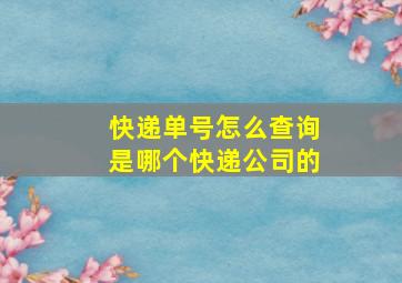 快递单号怎么查询是哪个快递公司的