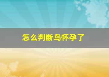 怎么判断鸟怀孕了