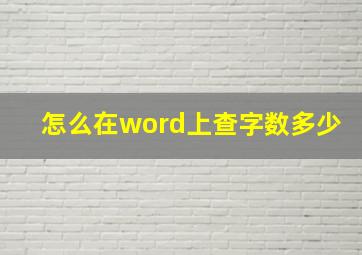 怎么在word上查字数多少