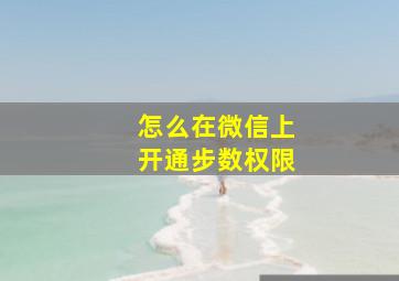 怎么在微信上开通步数权限