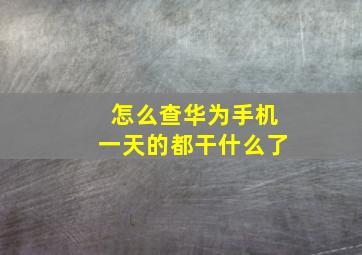 怎么查华为手机一天的都干什么了