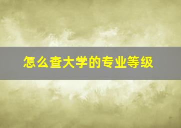 怎么查大学的专业等级