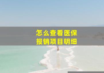 怎么查看医保报销项目明细