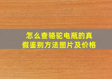 怎么查骆驼电瓶的真假鉴别方法图片及价格