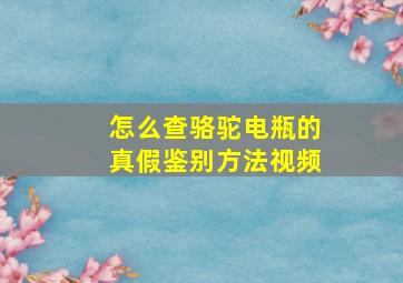 怎么查骆驼电瓶的真假鉴别方法视频