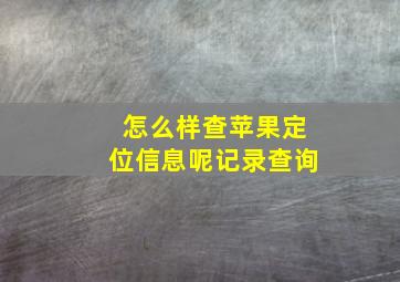 怎么样查苹果定位信息呢记录查询