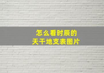 怎么看时辰的天干地支表图片