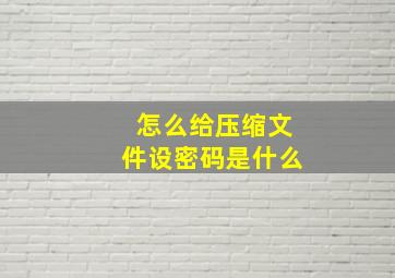 怎么给压缩文件设密码是什么