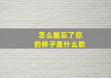 怎么能忘了你的样子是什么歌