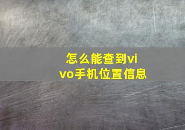 怎么能查到vivo手机位置信息