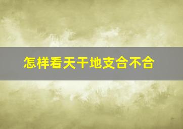 怎样看天干地支合不合