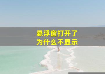 悬浮窗打开了为什么不显示