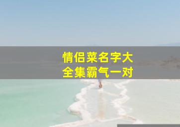 情侣菜名字大全集霸气一对