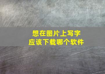 想在图片上写字应该下载哪个软件