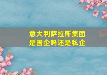 意大利萨拉斯集团是国企吗还是私企