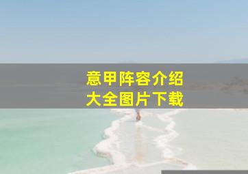 意甲阵容介绍大全图片下载