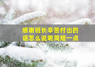 感谢班长辛苦付出的话怎么说呢简短一点