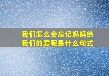 我们怎么会忘记妈妈给我们的爱呢是什么句式