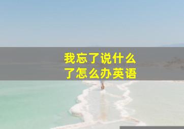 我忘了说什么了怎么办英语