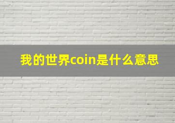 我的世界coin是什么意思