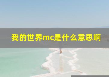 我的世界mc是什么意思啊