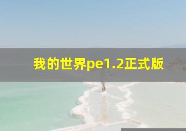 我的世界pe1.2正式版