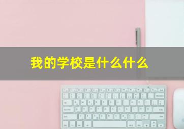 我的学校是什么什么