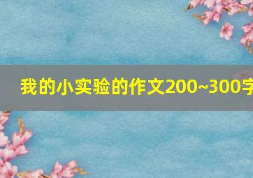 我的小实验的作文200~300字