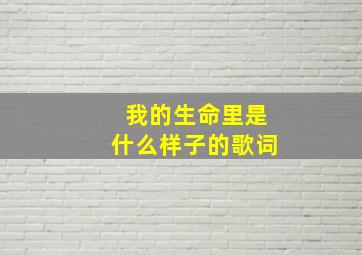 我的生命里是什么样子的歌词