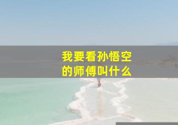 我要看孙悟空的师傅叫什么