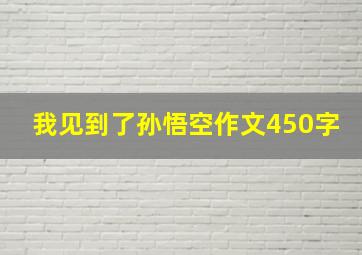 我见到了孙悟空作文450字