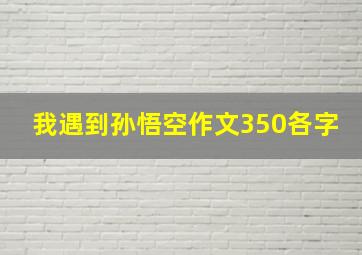 我遇到孙悟空作文350各字