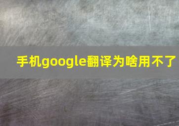 手机google翻译为啥用不了